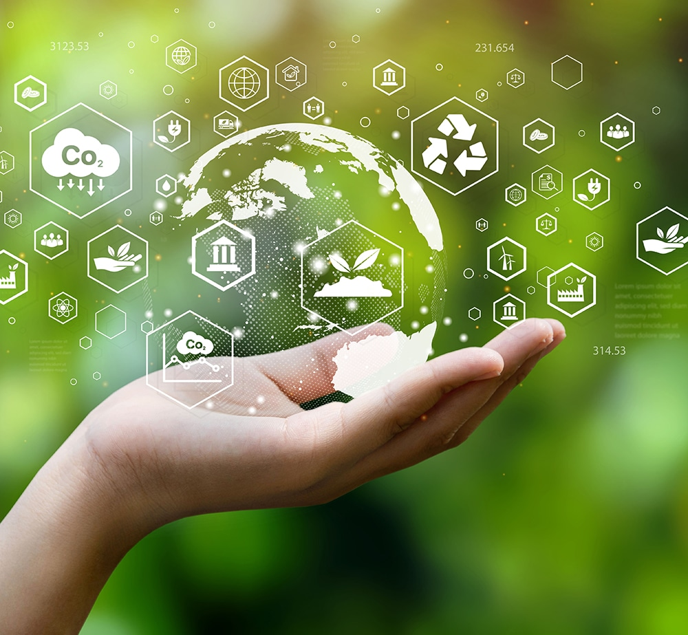 Economic and Environmental Implications
