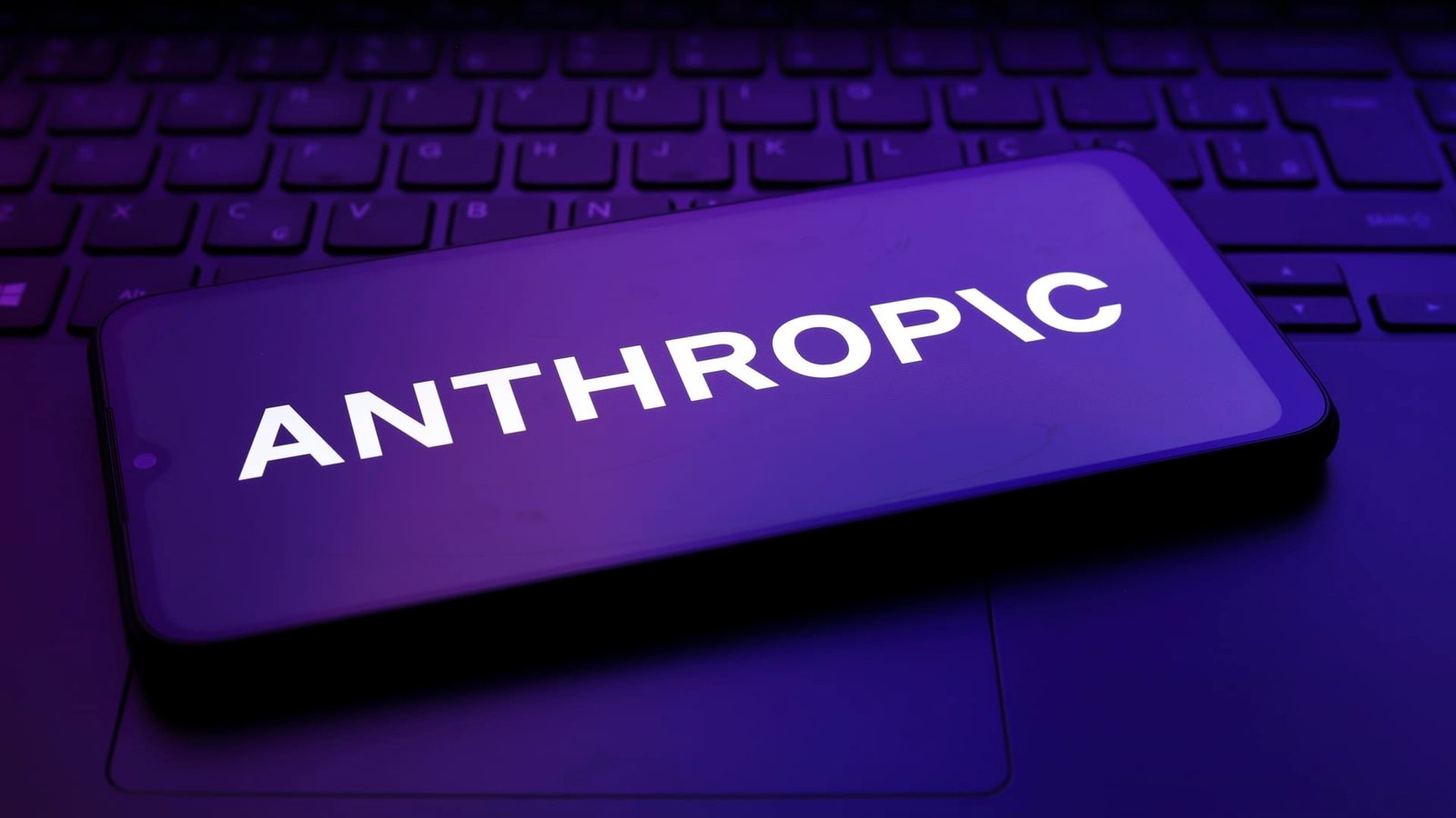 Anthropic funding