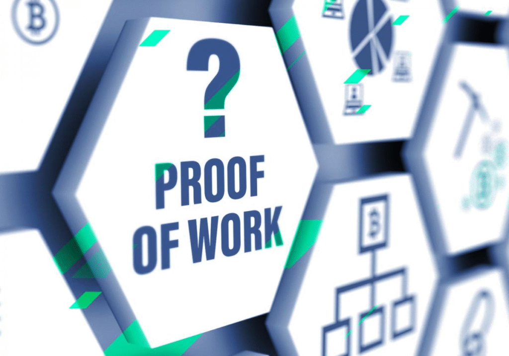 Proof It’s Working: Cashify’s Case