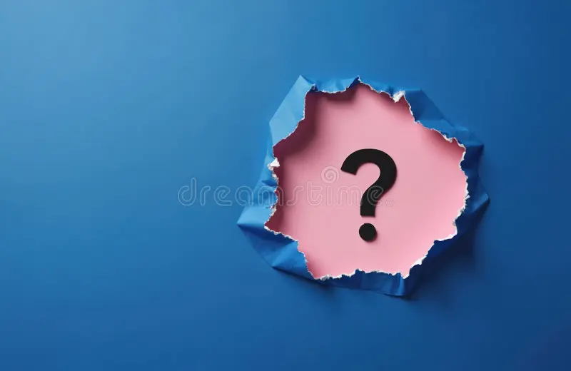 4. Explainpaper