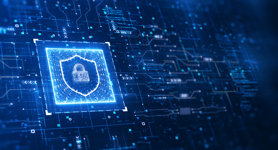 Security Flaws